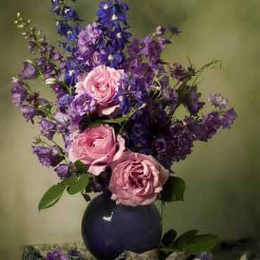 ddos攻击在哪能买到